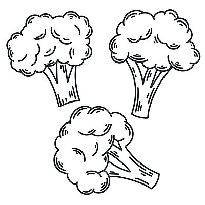 EPS 해외이미지 클립아트 식물 잡화 계절 음식 줄기 농업 채소 일러스트 재료 자연 잉크 건강 요리 그래픽 상점 수확 신선 그리기 그룹 낙서 상품 브로콜리 스케치 에코 유기농 심플 윤곽 손그림 판화 비타민 고립 벡터 비건 해외202309 해외일러스트 웰빙 산업 모션 미술 환경 생태계 영양소 채식주의자 파일형식