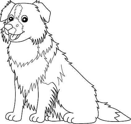 EPS 해외이미지 동물 디자인 교육 실루엣 어린이 선 컬러 일러스트 학교 그래픽 반려동물 유치원 개 강아지 그림 윤곽 손그림 페이지 솜털 보더콜리 걸음마 고립 기르기 색칠공부 벡터 해외202309 해외일러스트 포유류 모션 촬영기법 사람 학습 색칠 콜리 돌봄 파일형식