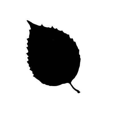 EPS 해외이미지 모양 나무 식물 디자인 배너 실루엣 백그라운드 잎 패턴 일러스트 자연 추상 미술 목재 그래픽 세트 꼬리표 검은색 흰색 깃발 숲 물개 심볼 묘사 사인 그림 클립 심플 윤곽 자작나무 내추럴 고립 떠남 생태학 엘리먼트 전국 벡터 해외202309 해외일러스트 교육 컬러 무늬 재료 포유류 모션 문화예술 촬영기법 라벨 바다동물 생태계 파일형식