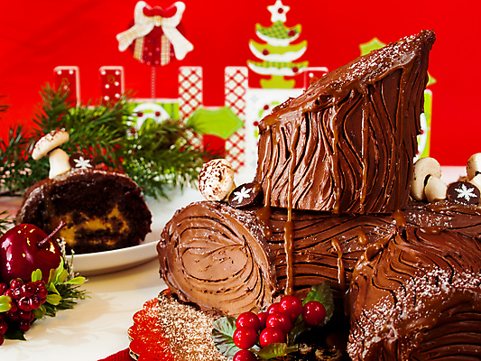 포토 JPG 해외이미지 열매 크리스마스 근접촬영 사람없음 갈색 달콤 초코케이크 롤케이크 부쉬드노엘 해외202309 해외포토 식물 기념일 뷰포인트 컬러 케이크 맛 파일형식