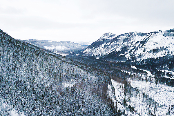 포토 JPG 해외이미지 나무 유럽 길 여행 겨울 자연 산 안테나 파노라마 사람없음 야외 빛 뷰티 추위 흰색 숲 서리 폴란드 항공촬영 슬로바키아 절정 눈내림 해외202309 해외포토 식물 계절 나라 뷰포인트 컬러 통신 눈_날씨 촬영기법 생태계 파일형식