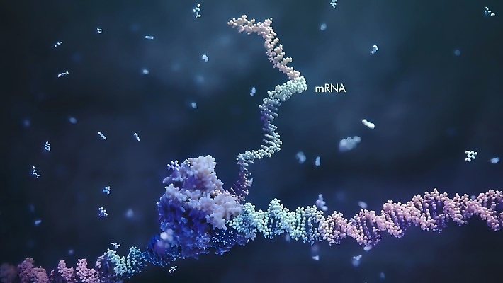포토 JPG 해외이미지 과학 건강 사람없음 약 바이러스 DNA 생명공학 유기농 생물학 원자 테라피 박테리아 반항 고립 단백질 해외202309 해외포토 웰빙 교육 의학 모션 뷰티 영양소 파일형식
