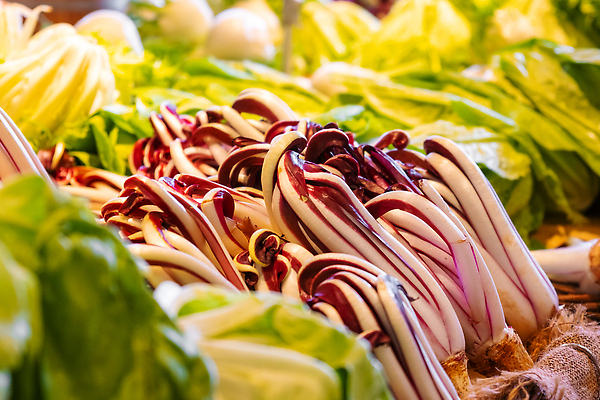 포토 JPG 해외이미지 식물 잡화 음식 잎 농업 다이어트 채소 건강 사람없음 초록색 농작물 컬러풀 농장 세일 환경 상점 샐러드 수확 성장 신선 시장 구매 농부 상추 유기농 원예 상업 날것 지역 빙산 소매 슈퍼마켓 내추럴 바이오 채식주의자 맛있는 해외202309 해외포토 직업 웰빙 산업 컬러 취미 쇼핑 채식 파일형식