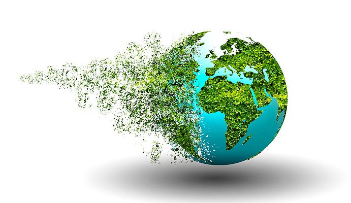 포토 JPG 해외이미지 식물 손 지구 백그라운드 컨셉 잎 지도 일러스트 자연 사람 사람없음 초록색 세계 글로벌 지구본 환경 재활용 행성 에너지 성장 오염 보호 쓰레기 숲 심볼 사인 에코 생태계 유지 낭비 내추럴 개발 돌봄 바이오 생태학 여의주 지구의날 벡터 무너짐 해외202309 해외일러스트 교육 기념일 컬러 모션 신체부위 우주 친환경 파일형식