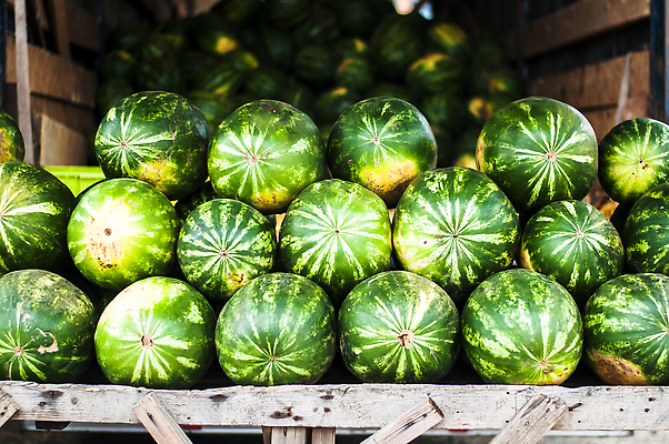 포토 JPG 해외이미지 음식 컬러 조각 백그라운드 패턴 농업 다이어트 과일 부분 자연 수박 건강 사람없음 빨간색 초록색 물 노란색 주스 흰색 신선 변화 시장 선택 달콤 맛 정상 주식 큼 멜론 자르기 유기농 밀짚 내추럴 숙성 채식주의자 많음 맛있는 해외202309 해외포토 자연요소 웰빙 산업 음료 컨셉 무늬 모션 금융 짚 크기 생태계 채식 파일형식