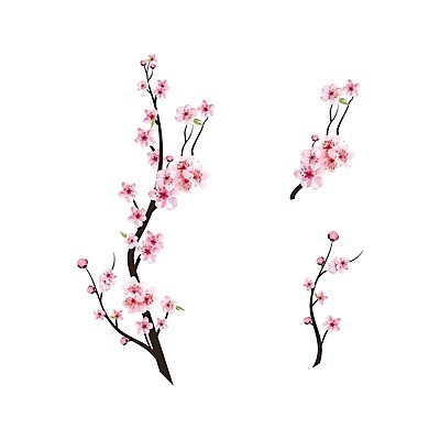 EPS 해외이미지 분홍색 일러스트 봄꽃 사람없음 벚꽃 꽃가지 해외202309 해외일러스트 꽃 컬러 봄 나뭇가지 파일형식 벡터