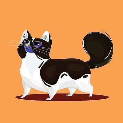 EPS 해외이미지 동물 캐릭터 디자인 행복 어린이 백그라운드 일러스트 포유류 자연 털 동물원 미술 서기 미소 앉기 그래픽 초록색 반려동물 장난감 갈색 걷기 고양이 기쁨 흰색 아기 개 만화 그림 꼬리 클립 코믹 솜털 고립 마스코트 벡터 해외202309 해외일러스트 일러캐릭터 감정 컬러 모션 문화예술 표정 사람 생태계 파일형식