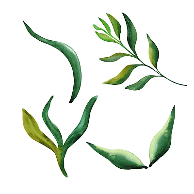 포토 JPG 해외이미지 클립아트 식물 디자인 꽃 포스터 꽃다발 결혼 잎 꽃무늬 패턴 일러스트 자연 벽지 추상 미술 사람없음 그래픽 장식 세트 벚꽃 직물 신용카드 생일 인쇄 만화 스케치 수집 배열 꽃집 그림 유기농 질감 엽서 손그림 고립 구성 엘리먼트 스타일 해외202309 해외일러스트 웰빙 기념일 무늬 문화예술 이벤트 금융 상점 편지 생태계 파일형식