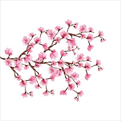 EPS 해외이미지 분홍색 일러스트 봄꽃 사람없음 벚꽃 꽃가지 해외202309 해외일러스트 꽃 컬러 봄 나뭇가지 파일형식 벡터