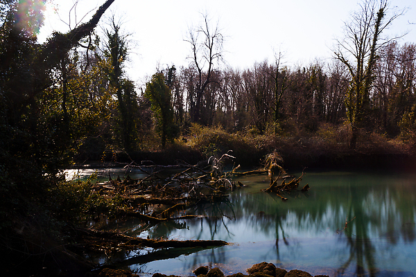 포토 JPG 해외이미지 나무 여행 자연 이끼 풍경 사람없음 야외 목재 초록색 물 강 뷰티 환경 이탈리아 나뭇가지 숲 사인 은행 생태계 운하 석호 석회암 세기 숭배 옛날 해외202309 해외포토 자연요소 식물 유럽 컬러 재료 모션 금융 암석 파일형식