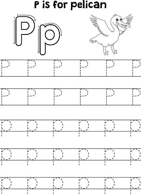 EPS 해외이미지 동물 디자인 알파벳 교육 실루엣 야생동물 어린이 선 컬러 일러스트 포유류 학교 자연 조류 초등학교 그래픽 스터디 유치원 기록 P 편지 펠리컨 깃털 그림 부리 윤곽 손그림 페이지 문제집 시트 걸음마 색칠공부 자취 벡터 해외202309 해외일러스트 영어 모션 촬영기법 사람 책 학습 색칠 생태계 파일형식 문자