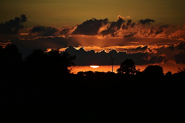 포토 JPG 해외이미지 나무 구름 컬러 오렌지 자연 하늘 풍경 사람없음 야외 빨간색 컬러풀 태양 갈색 환경 검은색 일몰 회색 풍력에너지 저녁 해외202309 해외포토 자연요소 식물 과일 노을 그린에너지 야간 생태계 파일형식