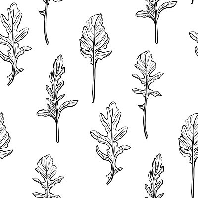 EPS 해외이미지 식물 디자인 종이 음식 잎 패턴 다이어트 채소 일러스트 재료 건강 요리 이탈리아 샐러드 회색 로켓 양념 맛 스케치 허브 향신료 질감 매움 윤곽 손그림 향 고립 루꼴라 채식주의자 벡터 억울 비건 해외202309 해외일러스트 감정 유럽 컬러 컨셉 무늬 미술 채식 향미료 파일형식