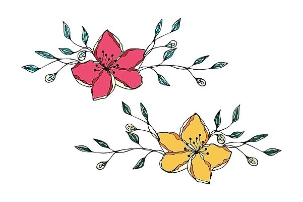 EPS 해외이미지 식물 디자인 꽃잎 꽃 실루엣 선 분홍색 컬러 잎 꽃무늬 오렌지 일러스트 자연 잉크 미술 그래픽 장식 빨간색 초록색 뷰티 노란색 검은색 봄 낭만 수확 벚꽃 나뭇가지 개화 낙서 스케치 문신 허브 그림 유기농 윤곽 손그림 내추럴 고립 엘리먼트 벡터 해외202309 해외일러스트 나무 웰빙 계절 컨셉 무늬 농업 과일 문화예술 촬영기법 생태계 파일형식