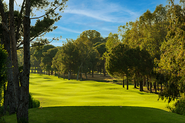 포토 JPG 해외이미지 나무 구름 호수 스포츠 백그라운드 밭 골프 골프장 놀이 하늘 파노라마 풍경 잔디 사람없음 초록색 물 파란색 햇빛 태양 맑음 골프채 소나무 강의 클럽 휴양지 칠면조 페어웨이 카피스페이스 비어있는 해외202309 해외포토 자연요소 식물 컬러 농업 스포츠시설 조류 날씨 골프용품 촬영기법 구기 공백 장소 파일형식