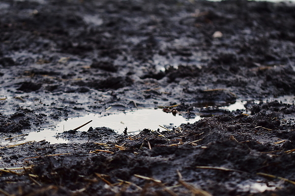 포토 JPG 해외이미지 계절 지구 모래 백그라운드 자연 날씨 사람없음 야외 물 젖음 닫기 웅덩이 밀짚 내추럴 땅바닥 방목장 해외202309 해외포토 자연요소 모션 바닥 짚 생태계 파일형식