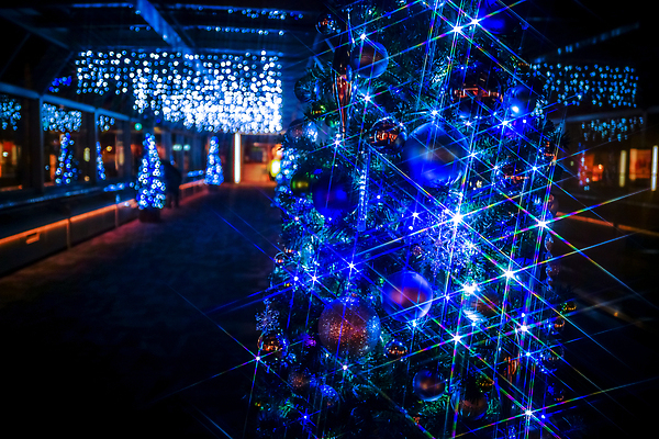 포토 JPG 해외이미지 디자인 크리스마스 겨울 조명 선물 미술 이벤트 사람없음 그래픽 장식 빛 컬러풀 크리스마스트리 산타클로스 야간 12월 주도 해외202309 해외포토 자연요소 계절 기념일 컬러 문화예술 예절 날짜 파일형식