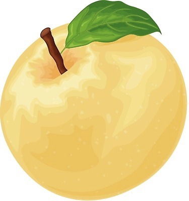 EPS 해외이미지 식물 라이프스타일 디자인 계절 음식 컬러 백그라운드 잎 농업 다이어트 과일 일러스트 자연 디저트 건강 미술 그래픽 초록색 뷰티 노란색 주스 흰색 신선 달콤 맛 사과 만화 먹기 심볼 오브젝트 사인 싱글 유기농 날것 내추럴 고립 숙성 채식주의자 벡터 맛있는 해외202309 해외일러스트 웰빙 산업 음료 컨셉 모션 문화예술 생활 생태계 채식 파일형식