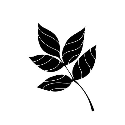 EPS 해외이미지 나무 식물 디자인 계절 꽃 백그라운드 단풍 잎 꽃무늬 일러스트 자연 목재 그래픽 장식 봄 흰색 나뭇가지 신용카드 숲 작음 스케치 수집 허브 사인 그림 자작나무 내추럴 고립 생태학 엘리먼트 벡터 반복 해외202309 해외일러스트 교육 컬러 무늬 재료 미술 금융 크기 생태계 파일형식