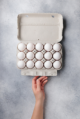 포토 JPG 해외이미지 종이 음식 포장 세포 요리 사람없음 상자 계란 회색 신선 컨테이너 에코 팩 내추럴 콘크리트 비어있는 해외202309 해외포토 산업 컬러 환경 알 화장품 파일형식