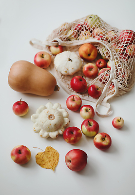 포토 JPG 해외이미지 식물 잡화 계절 음식 컨셉 잎 농업 채소 가방 오렌지 과일 탁자 호박 휴가 건강 사람없음 빨간색 초록색 쇼핑 컬러풀 농장 재활용 할로윈 수확 신선 시장 사과 상품 에코 유기농 추수감사절 스쿼시 유지 10월 내추럴 구성 숙성 채식주의자 플랫레이 카피스페이스 해외202309 해외포토 웰빙 산업 기독교 스포츠 컬러 가구 구기 환경 공백 날짜 플랫 친환경 채식 파일형식