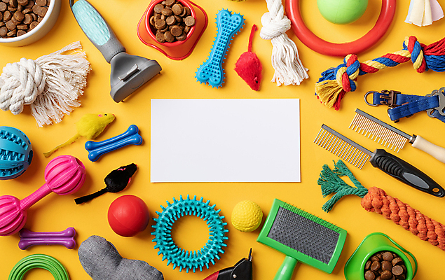 포토 JPG 해외이미지 밧줄 인형 공 사람없음 하이앵글 노란색 개밥그릇 개뼈다귀 애견빗 카피스페이스 해외202309 해외포토 반려용품 그릇 줄 뷰포인트 컬러 공백 오브젝트 애견용품 애견간식 파일형식