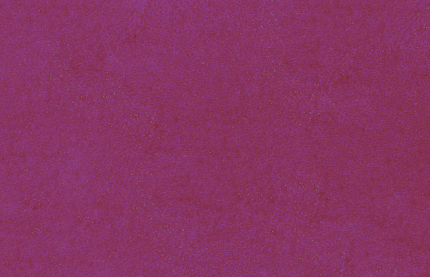 포토 JPG 해외이미지 디자인 벽 컬러 백그라운드 패턴 건축양식 벽지 표면 날씨 추상 미술 사람없음 내부 건물 장식 빨간색 보라색 검은색 페인트 손상 수확 골동품 시골 얼룩 거친 자주색 버리기 제비꽃 묘사 부식 질감 복고 시멘트 그런지 깨짐 석고 옛날 콘크리트 노화 카피스페이스 효과 해외202309 해외포토 건축물 건축 꽃 컨셉 무늬 농업 모션 문화예술 공백 파일형식