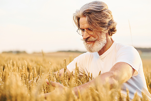 포토 JPG 해외이미지 노년 남자 농업 안기 한명 상반신 옆모습 농경지 농사 시골 농부 밀밭 노인남자한명만 안경낌 내려보기 해외202309 해외포토 직업 1 산업 안경 뷰포인트 밭 모션 사람 성인 농장 밀 남자한명만 노인남자만 파일형식