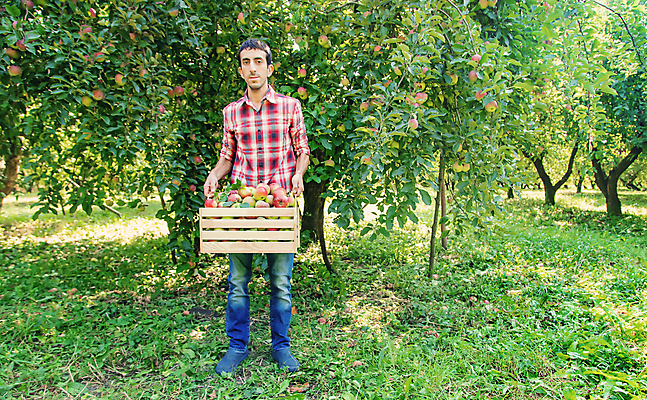 포토 JPG 해외이미지 나무 식물 직업 1 라이프스타일 손 음식 백그라운드 잎 농업 과일 자연 노동자 건강 사랑 한명 사람 빨간색 초록색 여름 농작물 상자 바구니 정원 기쁨 수확 성장 가을 신선 업무 사과 농부 수집 먹기 유기농 원예 원예사 카피스페이스 해외202309 해외포토 웰빙 계절 감정 산업 컬러 모션 취미 생활 신체부위 공백 작업 생태계 파일형식