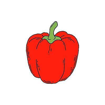 EPS 해외이미지 클립아트 디자인 음식 백그라운드 채소 일러스트 자연 농작물 수확 흰색 신선 달콤 낙서 만화 유기농 손그림 후추 내추럴 고립 숙성 엘리먼트 채식주의자 벡터 해외202309 해외일러스트 웰빙 컬러 농업 맛 향신료 생태계 채식 파일형식