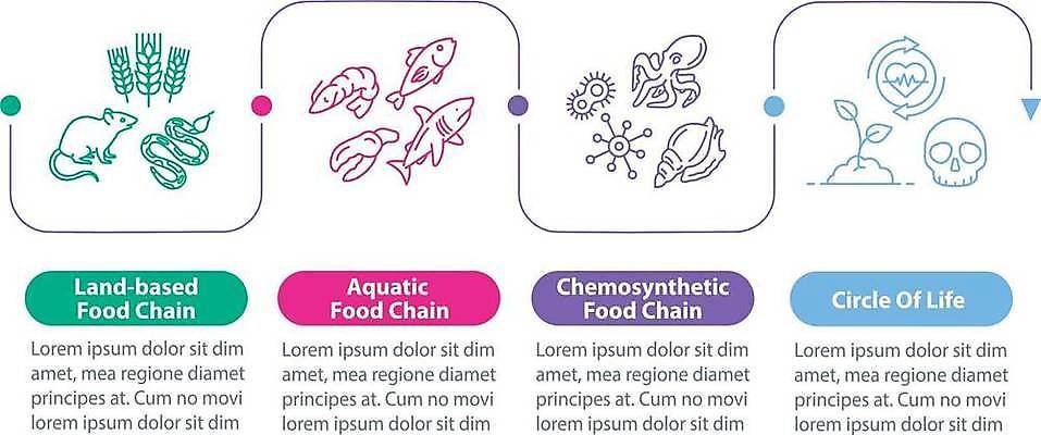 EPS 해외이미지 동물 템플릿 디자인 배너 음식 컨셉 일러스트 텍스트 그래프 아이디어 그래픽 웹 인포그래픽 다양 흐름 에너지 정보 발표 4 플랫 계획 땅 생태계 레이아웃 생물학 정사각형 윤곽 육식동물 단계 명령 방법 생태학 타임라인 프로듀서 벡터 해외202309 해외일러스트 도형 직업 교육 다수 인터넷 숫자 파일형식