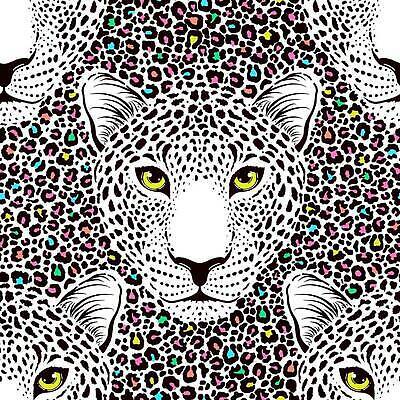 EPS 해외이미지 모양 동물 캐릭터 디자인 얼굴 선 백그라운드 패턴 일러스트 털 미술 그래픽 머리 검은색 힘 줄무늬 흰색 점 낙서 인쇄 그림 질감 육식동물 사냥꾼 표범 엘리먼트 총구 스타일 벡터 해외202309 해외일러스트 일러캐릭터 직업 컬러 무늬 포유류 문화예술 신체부위 파일형식