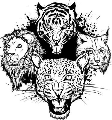 EPS 해외이미지 동물 디자인 실루엣 야생동물 일러스트 포유류 아프리카 자연 흑백 동물원 미술 세트 머리 검은색 고양이 줄무늬 흰색 호랑이 위험 사자 큼 만화 스케치 수집 심볼 사파리 그림 윤곽 육식동물 표범 추적 고립 동물상 재규어 스라소니 벡터 해외202309 해외일러스트 나라 컬러 컨셉 무늬 모션 문화예술 촬영기법 신체부위 반려동물 조형물 크기 생태계 파일형식