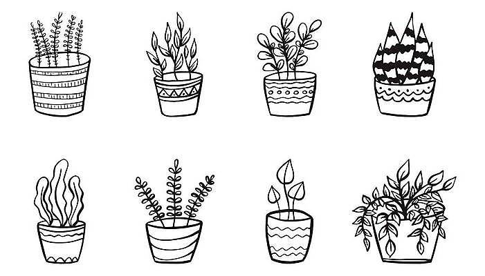 EPS 해외이미지 클립아트 나무 식물 디자인 꽃 화분 화초 백그라운드 잎 꽃무늬 패턴 일러스트 자연 주택 실내 미술 내부 그래픽 장식 여름 세트 사무실 정원 검은색 방 플랫 낙서 냄비 만화 수집 오브젝트 사인 심플 내추럴 고립 다육식물 심기 엘리먼트 이국적 벡터 해외202309 해외일러스트 계절 컬러 무늬 비즈니스 모션 문화예술 건물 솥 생태계 파일형식