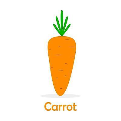 EPS 해외이미지 식물 디자인 음식 다이어트 채소 오렌지 일러스트 건강 미술 초록색 당근 샐러드 흰색 신선 심볼 오브젝트 사인 유기농 내추럴 고립 엘리먼트 채식주의자 벡터 맛있는 해외202309 해외일러스트 웰빙 컬러 과일 문화예술 뿌리채소 채식 파일형식
