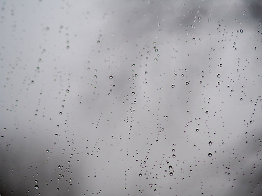 포토 JPG 해외이미지 디자인 백그라운드 패턴 창문 자연 유리 표면 날씨 추상 사람없음 물 반사 거품 젖음 흰색 물방울 액체 떨어짐 소프트포커스 빗방울 질감 땀 해외202309 해외포토 자연요소 컬러 컨셉 무늬 재질 촬영기법 비_날씨 생태계 파일형식