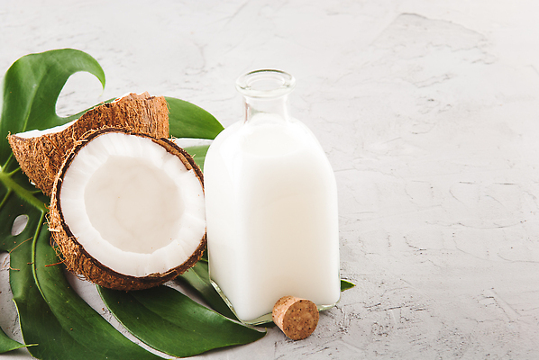 포토 JPG 해외이미지 단면 유리병 사람없음 뷰티 코코넛 코르크 몬스테라 코코넛오일 콘크리트 카피스페이스 해외202309 해외포토 식물 과일 병_용기 공백 오일_음식 파일형식