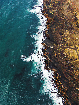 포토 JPG 해외이미지 동물 1 응시 유럽 야생동물 바다 컬러 섬 백그라운드 오렌지 자연 조류 노르웨이 아이슬란드 어류 사람없음 야외 초록색 컬러풀 뷰티 검은색 북극 깃털 만족 빙하 부리 북쪽 대서양 동물상 해외202309 해외포토 시선 감정 나라 과일 조형물 수중동물 극지방 방향 생태계 파일형식