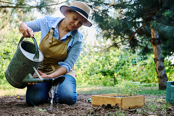 포토 JPG 해외이미지 계절 지구 농업 채소 비즈니스 씨앗 한명 농경지 새싹 정원 검은색 앞치마 흙 봄 성장 도구 캔 농부 물주기 친환경 원예 먼지 점검 유지 심기 원예사 파종 해외202309 해외포토 식물 직업 1 산업 컬러 모션 사람 취미 농장 환경 농사 파일형식