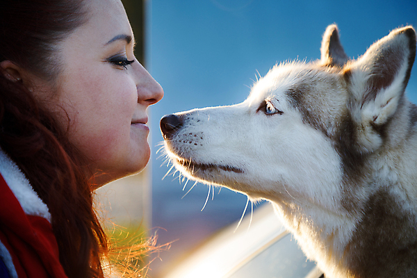 포토 JPG 해외이미지 동물 1 여자 감정 새끼 컬러 백그라운드 포유류 포옹 키스 털 한명 야외 빛 햇빛 노란색 환경 우정 기쁨 흰색 개 깃털 호기심 리더 솜털 송곳니 기르기 유래 순혈 해외202309 해외포토 컨셉 안기 사람 친구 태양 치아 애정표현 돌봄 파일형식