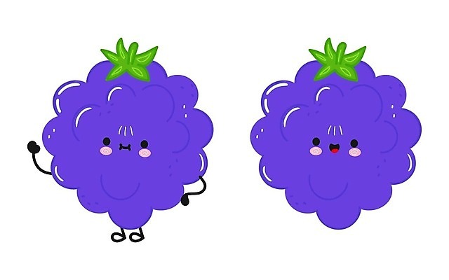 EPS 해외이미지 일러스트 포도 사람없음 귀여움 과일캐릭터 포도캐릭터 해외일러스트 일러캐릭터 캐릭터 컨셉 과일 파일형식 벡터