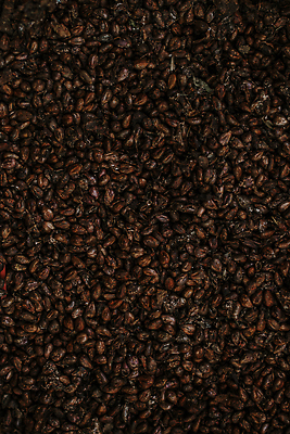 포토 JPG 해외이미지 음식 백그라운드 다이어트 재료 자연 포도 건강 씨앗 사람없음 목재 초록색 갈색 검은색 어둠 화장품 신선 약국 유기농 질감 테라피 돌봄 추출 해외202309 해외포토 나무 식물 웰빙 컬러 과일 의학 모션 뷰티 생태계 파일형식