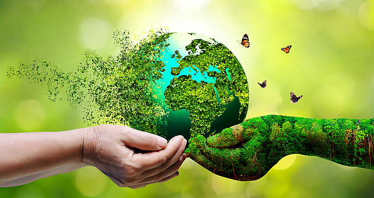 포토 JPG 해외이미지 손 지구 나비 자연 생명 잔디 신체부위 에코 손모으기 해외202309 해외포토 식물 곤충 사람 손짓 환경 생태계 파일형식