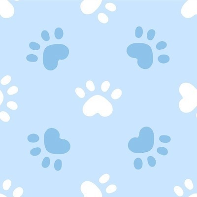 EPS 해외이미지 동물 행복 어린이 백그라운드 패턴 일러스트 곰 벽지 장식 파란색 반려동물 컬러풀 귀여움 고양이 놀이방 아기 개 강아지 낙서 인쇄 발자국 만화 천 그림 질감 심플 부드러움 단계 송곳니 선로 양발 자취 파스텔톤 벡터 반복 해외202309 해외일러스트 감정 컬러 컨셉 무늬 포유류 자국 사람 직물 감각 치아 파일형식