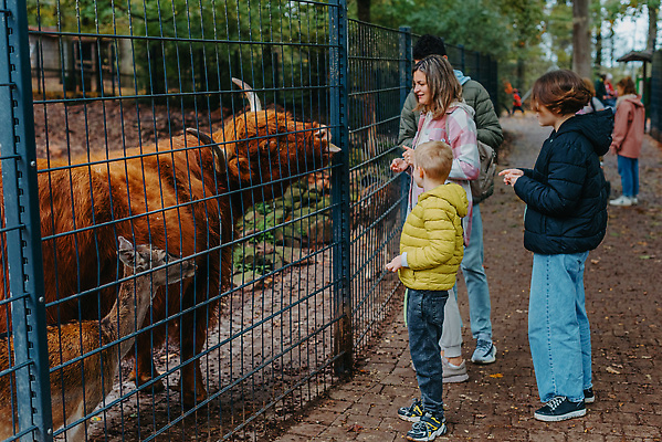 포토 JPG 해외이미지 동물 라이프스타일 응시 공원 남자 행복 아들 야생동물 어린이 여행 2 포유류 가족 자연 엄마 휴가 동물원 3 웃음 사람 동양인 소년 여러명 야외 농장 관찰 도시 숲 기린 사파리 호기심 걸음마 돌봄 수유 해외202309 해외포토 시선 공공시설 감정 다수 컨셉 농업 관계 모션 표정 인종 생활 생태계 파일형식