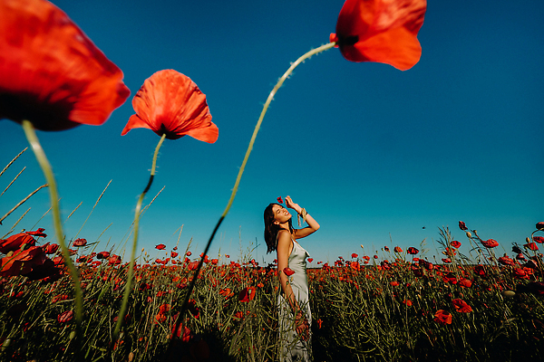 포토 JPG 해외이미지 여자 백그라운드 꽃밭 팔찌 한명 들기 상반신 성인 옆모습 빨간색 눈감음 화려 양귀비 성인여자한명만 해외202309 해외포토 1 꽃 뷰포인트 컬러 컨셉 장신구 모션 사람 여자한명만 성인여자만 파일형식