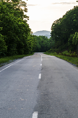 포토 JPG 해외이미지 나무 도로 길 선 여행 곡선 교통시설 자연 하늘 거리 사람없음 초록색 운전 시골 고속도로 숲 방법 비어있는 해외202309 해외포토 식물 컬러 교통 모션 시설 생태계 파일형식