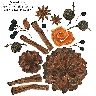 포토 JPG 해외이미지 식물 템플릿 꽃다발 크리스마스 겨울 꽃무늬 패턴 오렌지 과일 자연 벽지 휴가 새해 건조 사람없음 목재 장식 갈색 파티 페인트 껍질 나뭇가지 소나무 뜨거움 신용카드 맛 아로마 원뿔 현실 국경 해외202309 해외포토 도형 나무 계절 기념일 꽃 컬러 컨셉 무늬 재료 이벤트 금융 생태계 파일형식