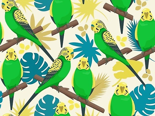 EPS 해외이미지 템플릿 디자인 커플 옷 감정 백그라운드 잎 꽃무늬 패턴 일러스트 가족 자연 벽지 조류 발렌타인데이 손바닥 사랑 그래픽 장식 초록색 여름 컬러풀 유행 정원 나뭇가지 직물 호주 인쇄 천 질감 하와이 앵무새 손그림 이국적 잉꼬 포장소품 스타일 벡터 반복 해외202309 해외일러스트 나무 식물 동물 손 계절 꽃 컬러 무늬 포장 관계 데이이벤트 미국 오세아니아 오브젝트 생태계 포장재료 파일형식