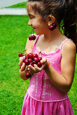 포토 JPG 해외이미지 나무 배너 열매 어린이 음식 잎 농업 과일 자연 건강 관리 사랑 사람 사람없음 야외 빨간색 여름 태양 뷰티 농장 바구니 정원 봄 유치원 수확 체리 사발 선택 맛 작음 수집 먹기 유기농 비타민 돌봄 숙성 카피스페이스 국경 맛있는 해외202309 해외포토 자연요소 식물 웰빙 계절 교육 감정 산업 컬러 컨셉 모션 공백 사기그릇 크기 생태계 영양소 파일형식